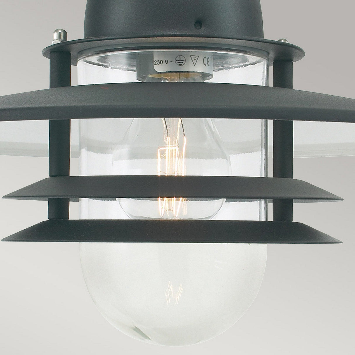 Close-up of an Oslo Outdoor 1 Light Chain Pendant in Black, showcasing a Scandinavian design with its clear glass casing and galvanized steel frame. The visible bulb inside adds charm as it is mounted against a plain, light-colored background.