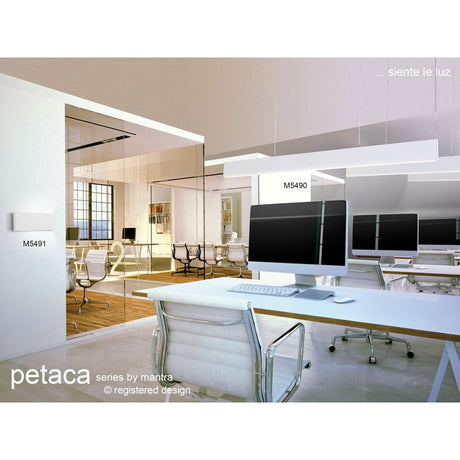 Petaca LED Wall Light 12W 3000K - Matt White