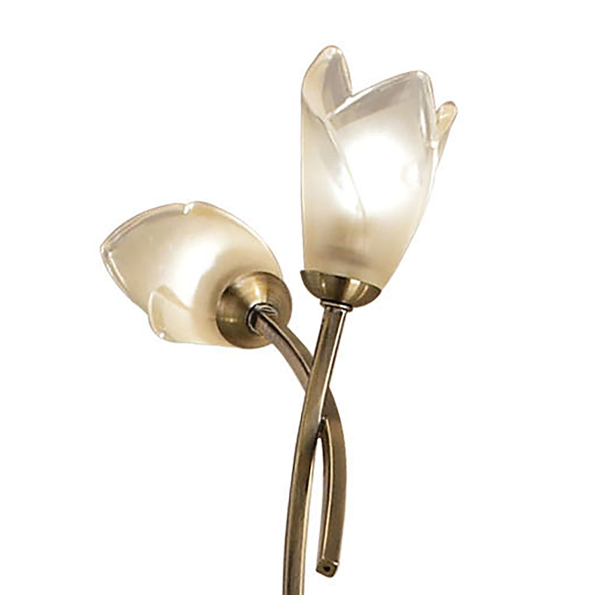 The Pietra 4 Light Floor Lamp in Antique Brass features two bronzed stems with frosted tulip-shaped glass shades facing opposite ways, creating elegant ambient lighting that beautifully stands out against a white background.