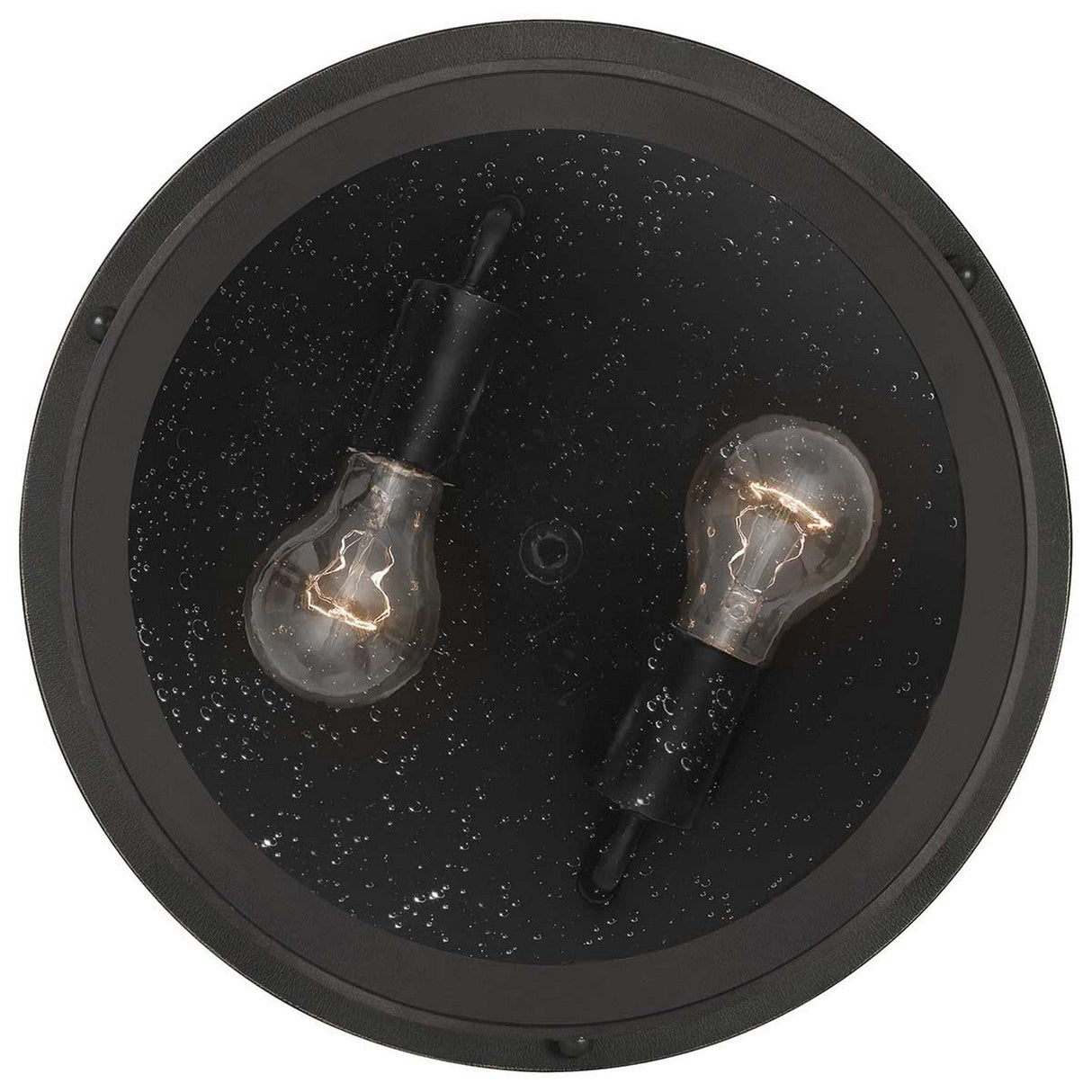 The Marblehead Outdoor 2 Light Flush in Palladian Bronze features a close-up of two round, vintage-style light bulbs with exposed filaments. They are mounted on a dark circular base with a speckled texture, designed to be weather-resistant. The bulbs are arranged diagonally from each other.