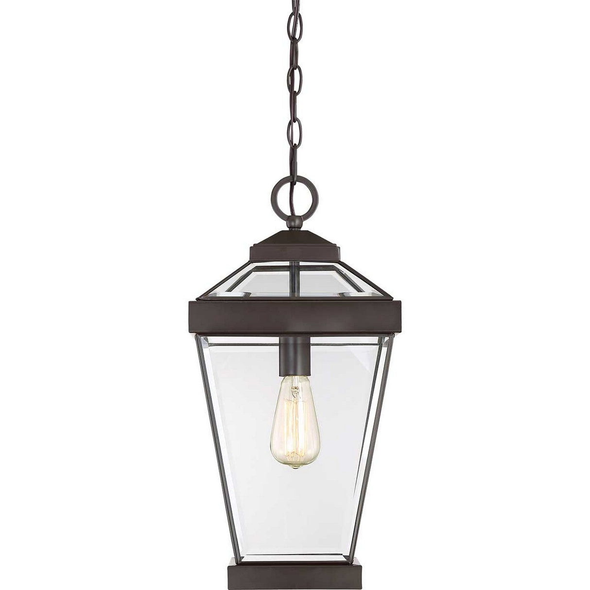The Ravine Outdoor Large Chain Pendant in Western Bronze features a distinct black metal frame, clear glass enclosure, and a single exposed bulb. This lantern-style light fixture is perfect for enhancing outdoor spaces, suspended elegantly by a sturdy chain that beautifully complements its Western Bronze finish.