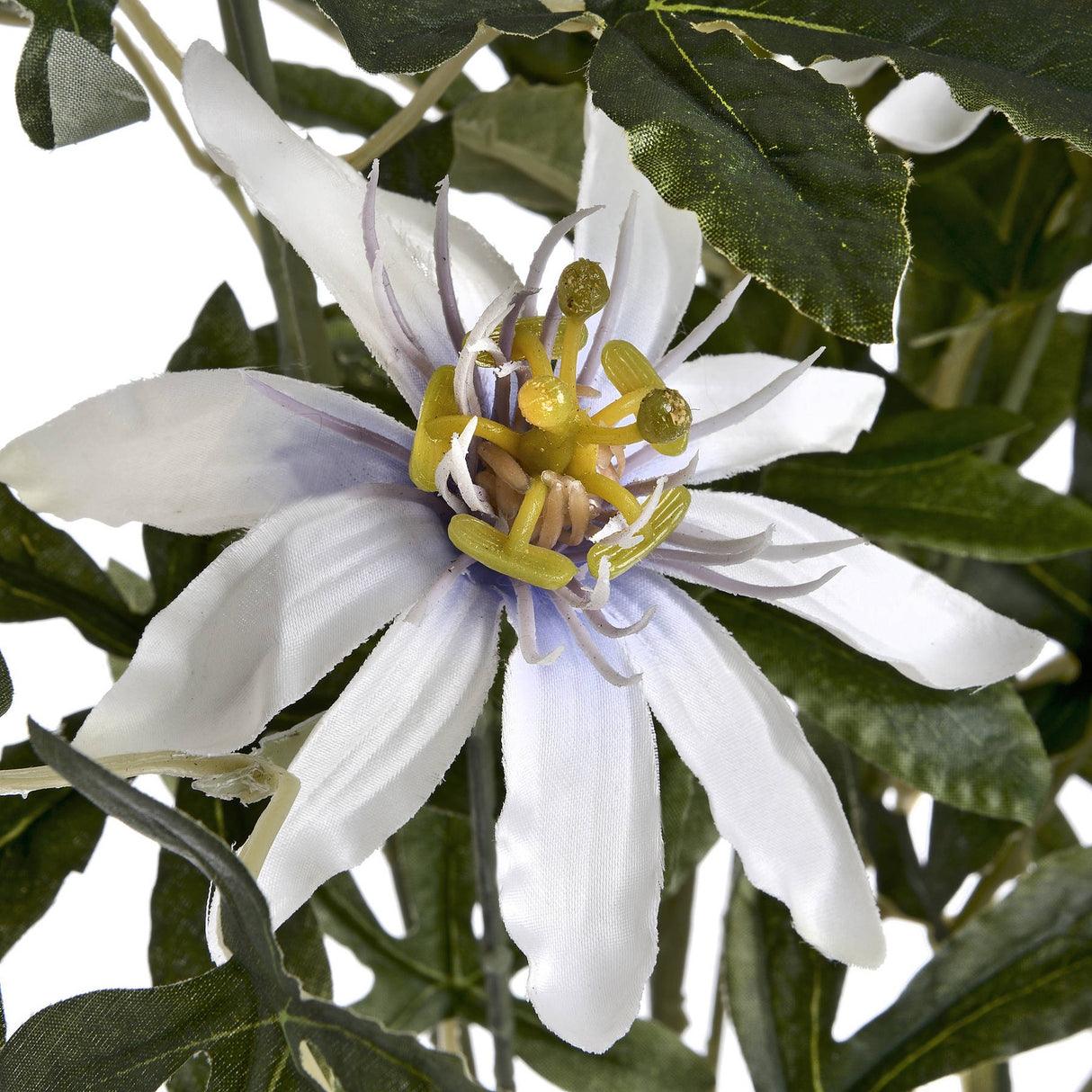 Close-up of the Hill Interiors Passion Flower Spray showing a white bloom with fine radial filaments, raised yellow-green central crown and surrounding leaves.