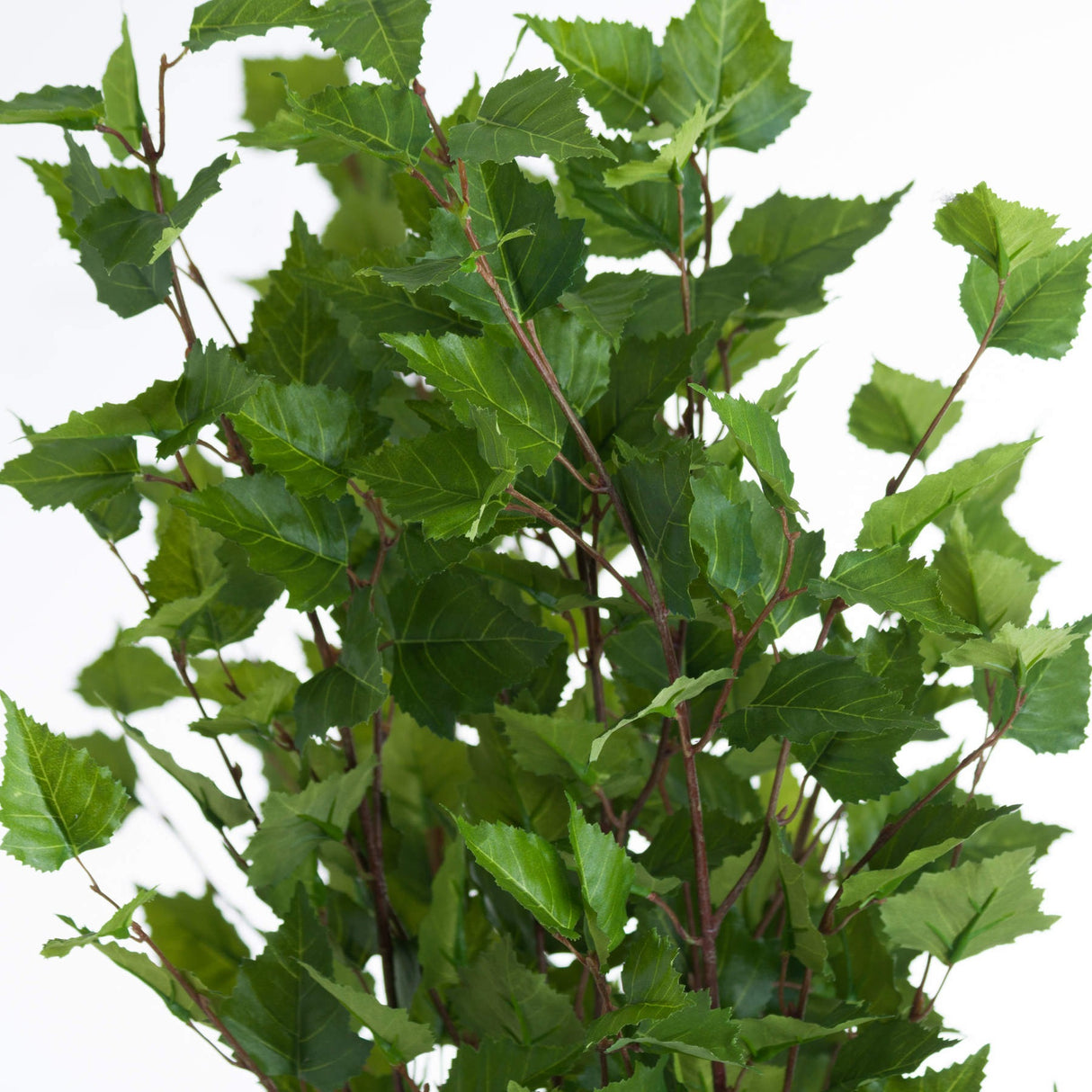 Close-up of Hill Interiors Green Branch Spray faux foliage showing serrated green leaves and slender brown stems against a plain white background.