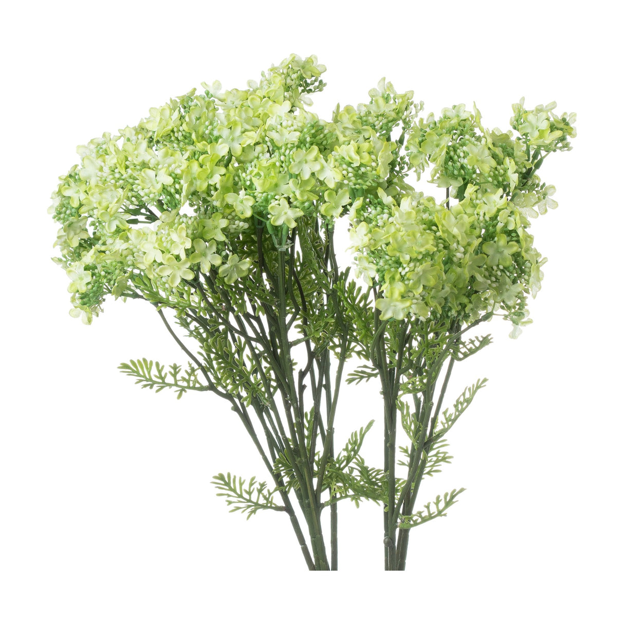 Hill Interiors Green Plumb Blossom Spray, a faux stem with clusters of small green blossoms and fine foliage on slender branches, on a white background.