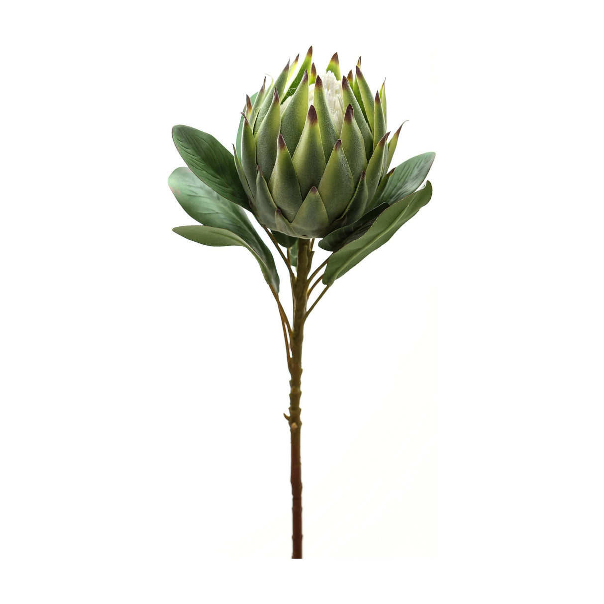 Hill Interiors Large Green Protea faux stem with layered sage bracts and veined foliage on a plastic stem, shown against a plain white background.