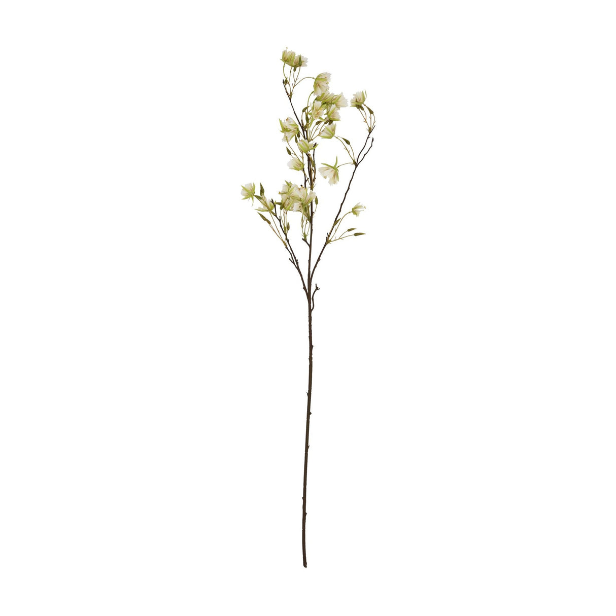 Hill Interiors Elaeocarpus Stem, a tall faux branch with slender green leaves and small white blossoms on a wired stem, on a white background.