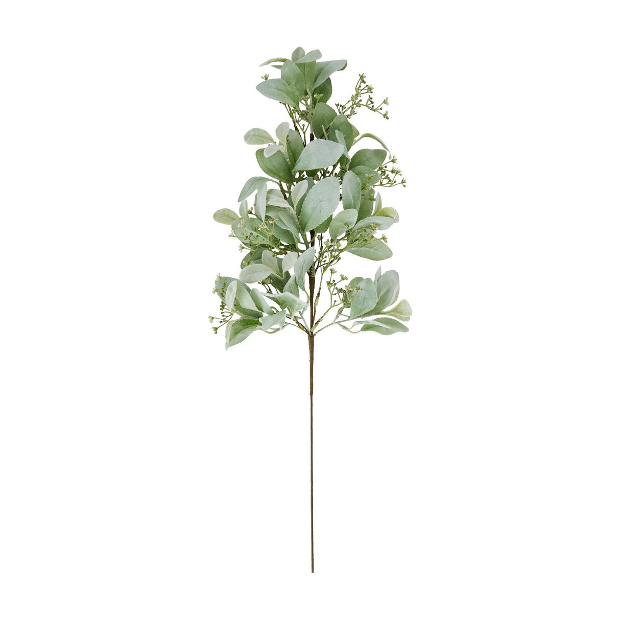 Hill Interiors large winter sprig with soft green lambs ear leaves and delicate wax flower sprays on a tall stem, shown against a plain white background.