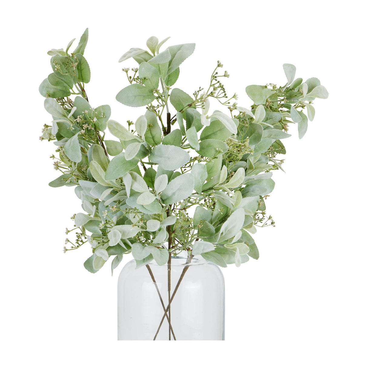 Hill Interiors large winter sprig with soft lambs ear leaves and delicate wax flower sprays arranged in a clear glass vase on a white background.