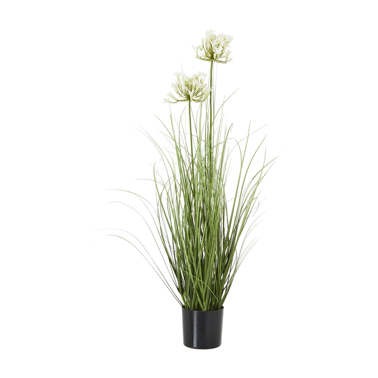 Hill Interiors White Agapanthus Plant In Pot, a 90cm faux potted plant with tall green grassy stems and white globe flowerheads in a black pot.