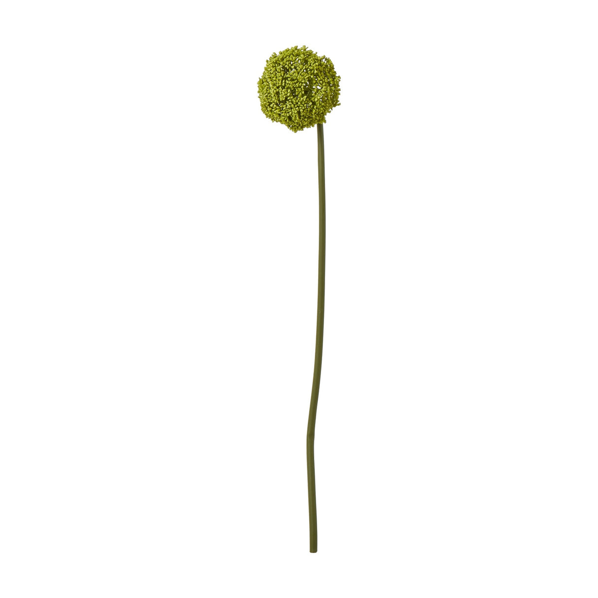 Hill Interiors Green Allium Stem, a 75cm faux flower with a globe-shaped cluster of tiny green florets on a slim curved stem, shown on a white background.