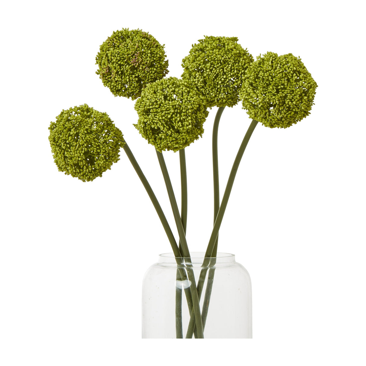Hill Interiors Green Allium Stems arranged in a clear glass vase, showing five rounded pom-pom flower heads on slim green stems against a white background.