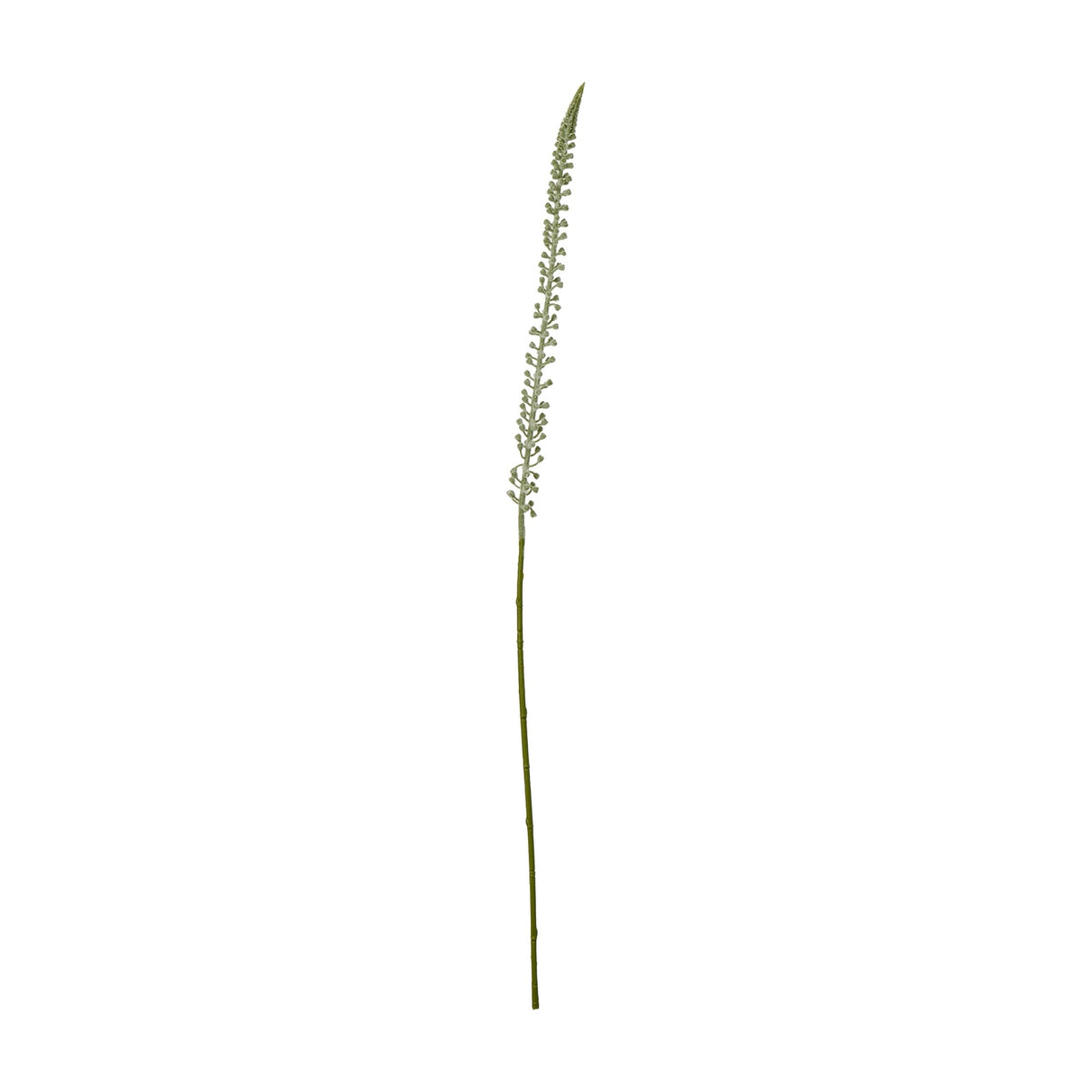 Hill Interiors White Eremurus Stem, a tall faux foxtail lily with a tapering spire of pale florets on a slender green stem, shown on a white background.