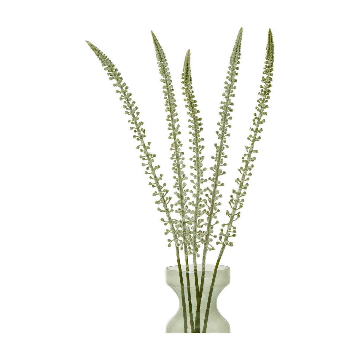 Hill Interiors White Eremurus faux flower stems with tall tapering spires of pale green florets, arranged in a green glass vase against a white background.