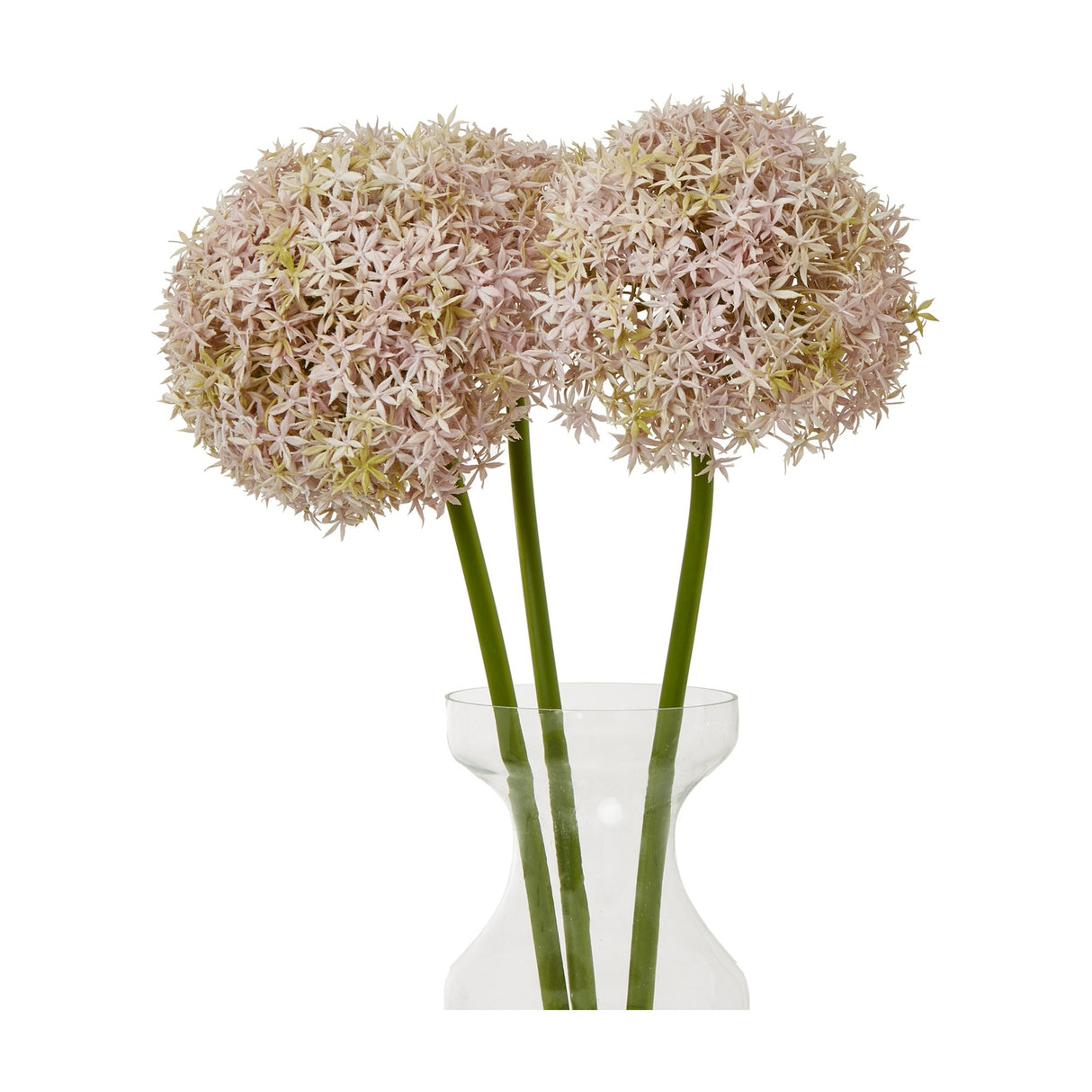 Hill Interiors Lilac Giant Allium Stems arranged in a clear glass vase, showing rounded pale pink floret heads on tall green stems against a white background.