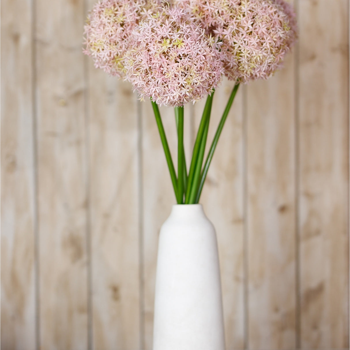 Hill Interiors Lilac Medium Allium Stems with soft pink globe florets on green stems in a tall white ceramic vase against a wooden plank backdrop.