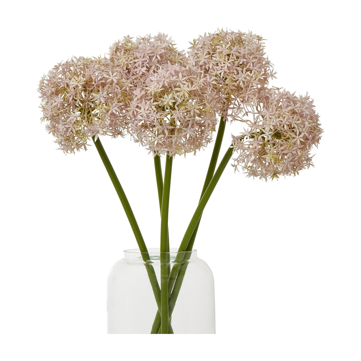 Hill Interiors Lilac Medium Allium Stems arranged in a clear glass vase, showing rounded pale purple floret heads on green stems against a white background.
