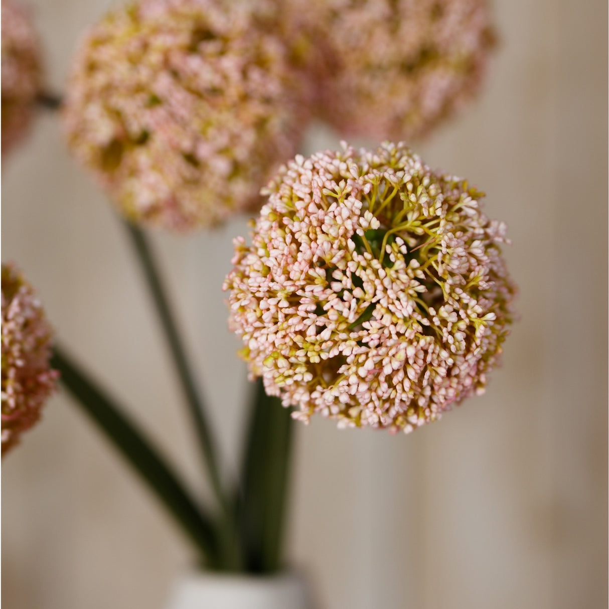Close-up of Hill Interiors Pink Allium Stem faux flowers, showing rounded pom-pom blooms of tiny pink and green florets on slender stems.