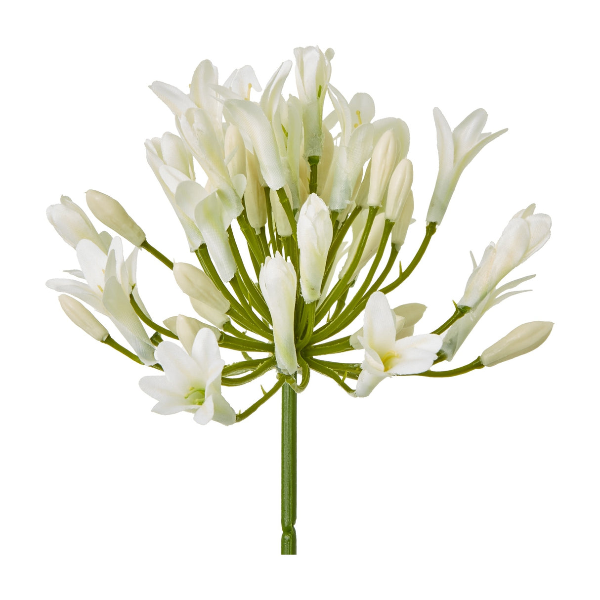 Hill Interiors Cream Agapanthus Spray with clustered cream trumpet blooms and slim buds fanning from a green stem, shown on a plain white background.