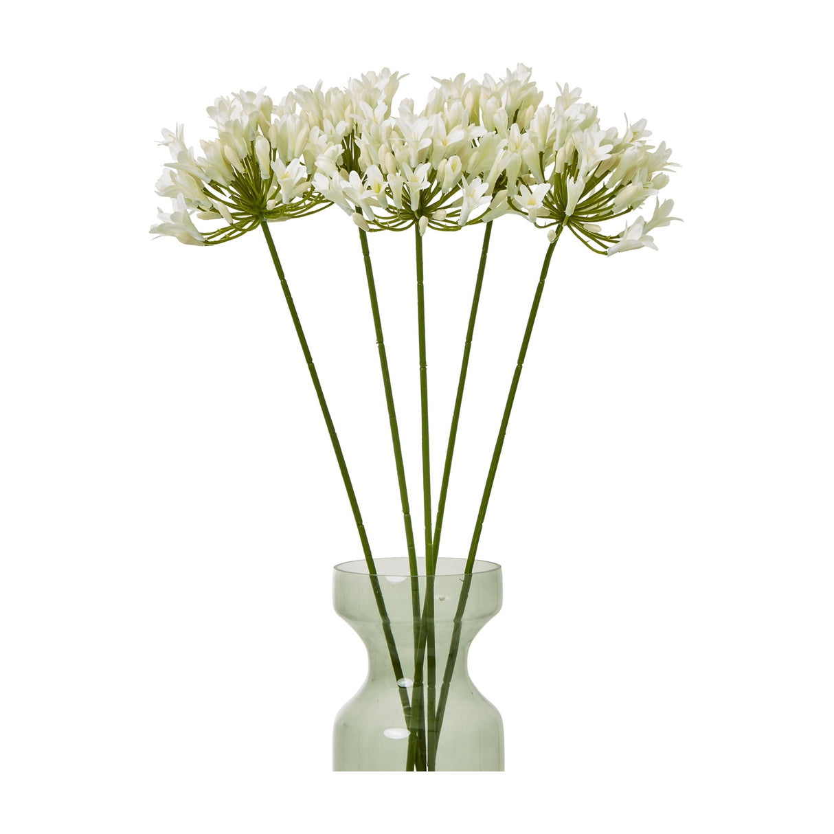 Five Hill Interiors Cream Agapanthus Sprays arranged in a green glass vase, showing rounded clusters of small cream trumpet blooms on tall slim stems.