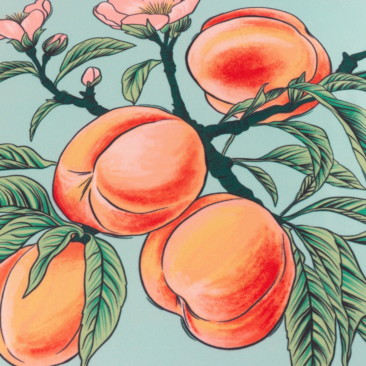 Anemone Reversible Polyester Cushion in Multi, close-up of peach and pink blossom branch print on duck-egg ground, 45 x 45cm outdoor cushion.