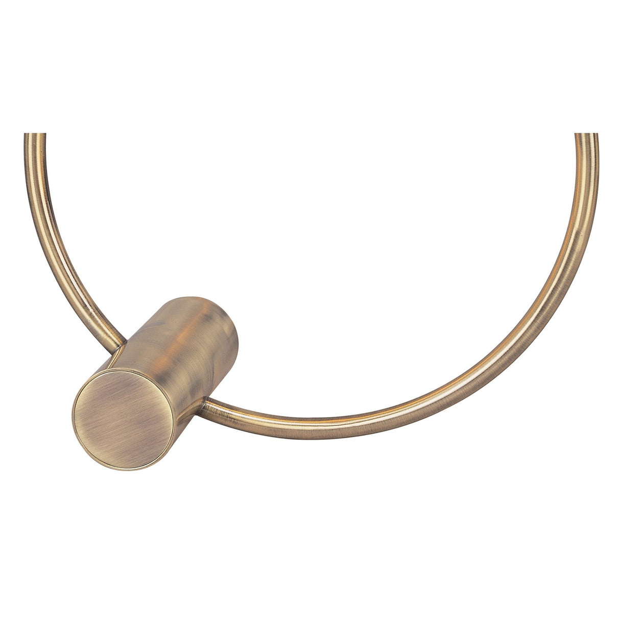 Rosa Del Desierto 1 Light Table Lamp - Antique Brass