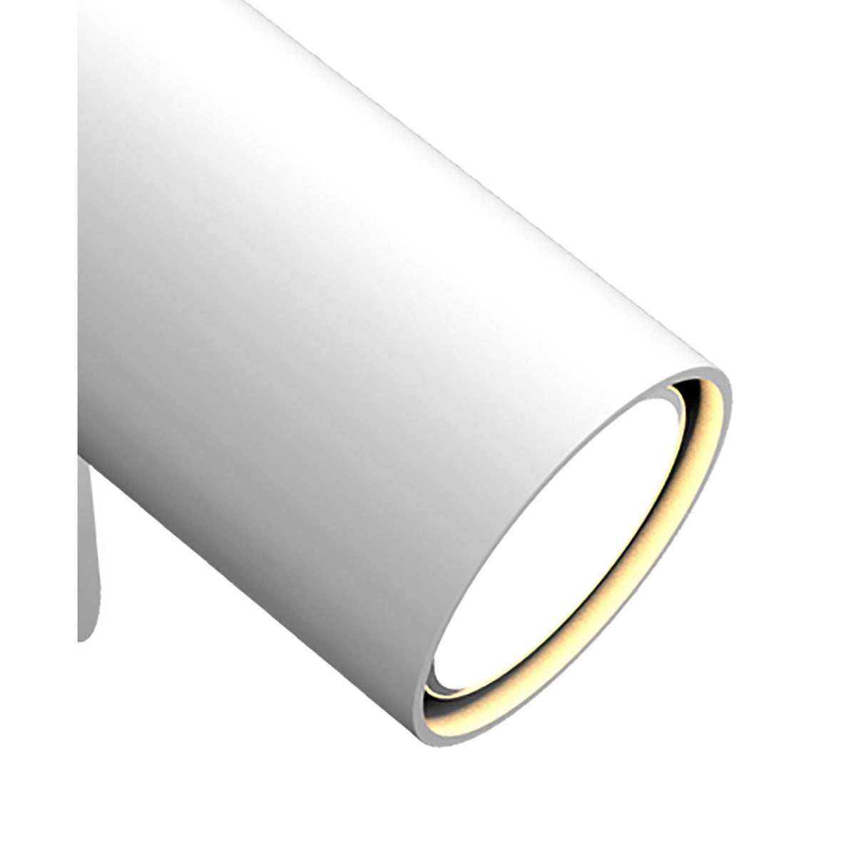 Sal 1 Light Single Spotlight With Switch - Matt White