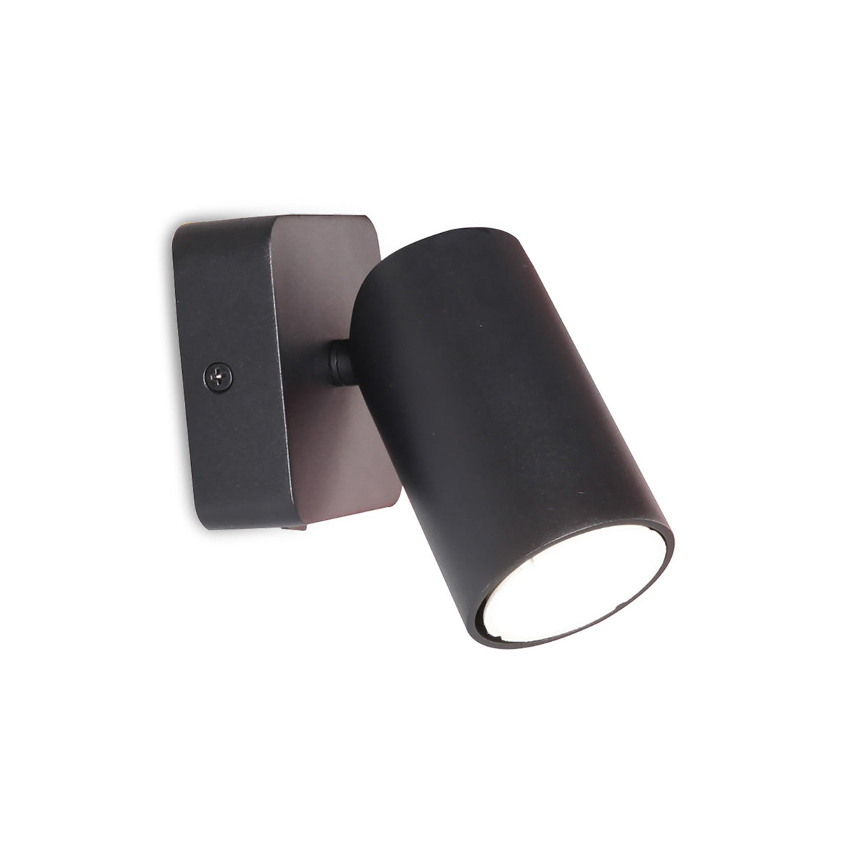 Sal 1 Light Single Spotlight With Switch - Matt Black