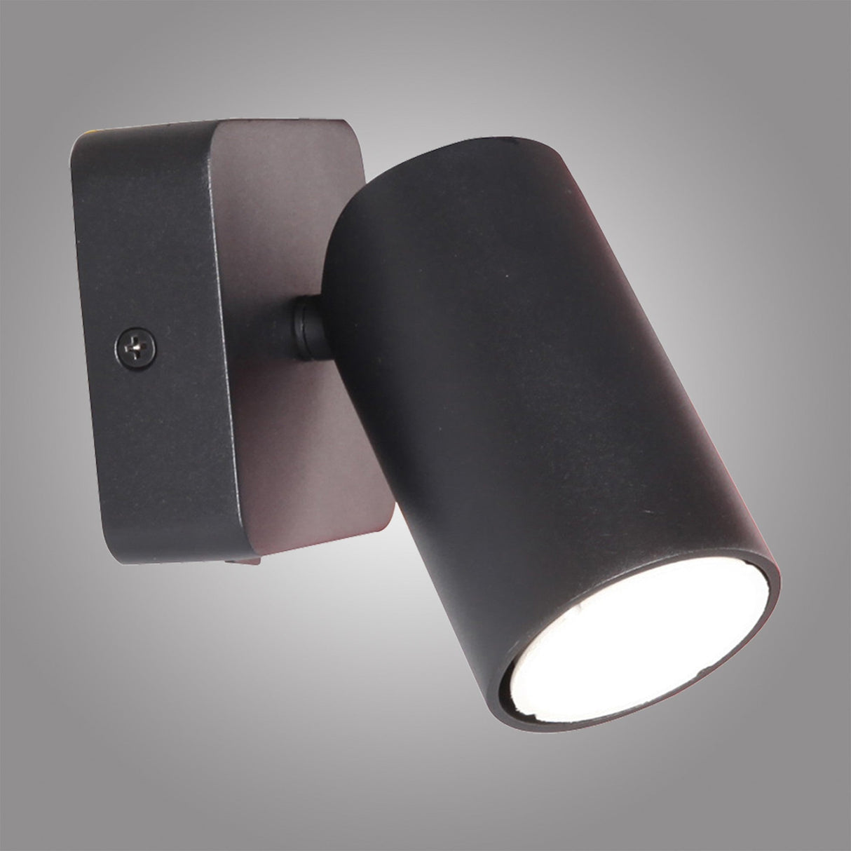 Sal 1 Light Single Spotlight With Switch - Matt Black