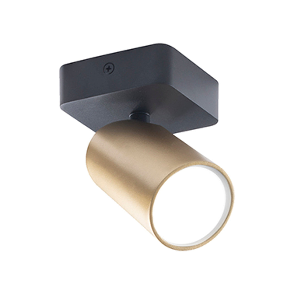 Sal 1 Light Single Spotlight - Satin Gold & Matt Black