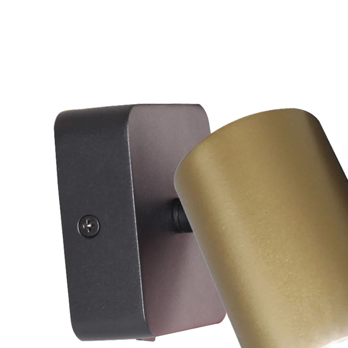 Sal 1 Light Single Spotlight - Satin Gold & Matt Black