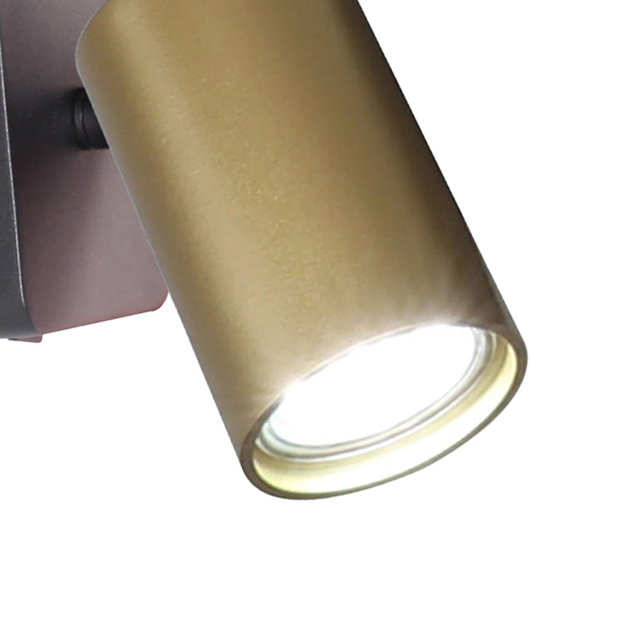 Sal 1 Light Single Spotlight - Satin Gold & Matt Black