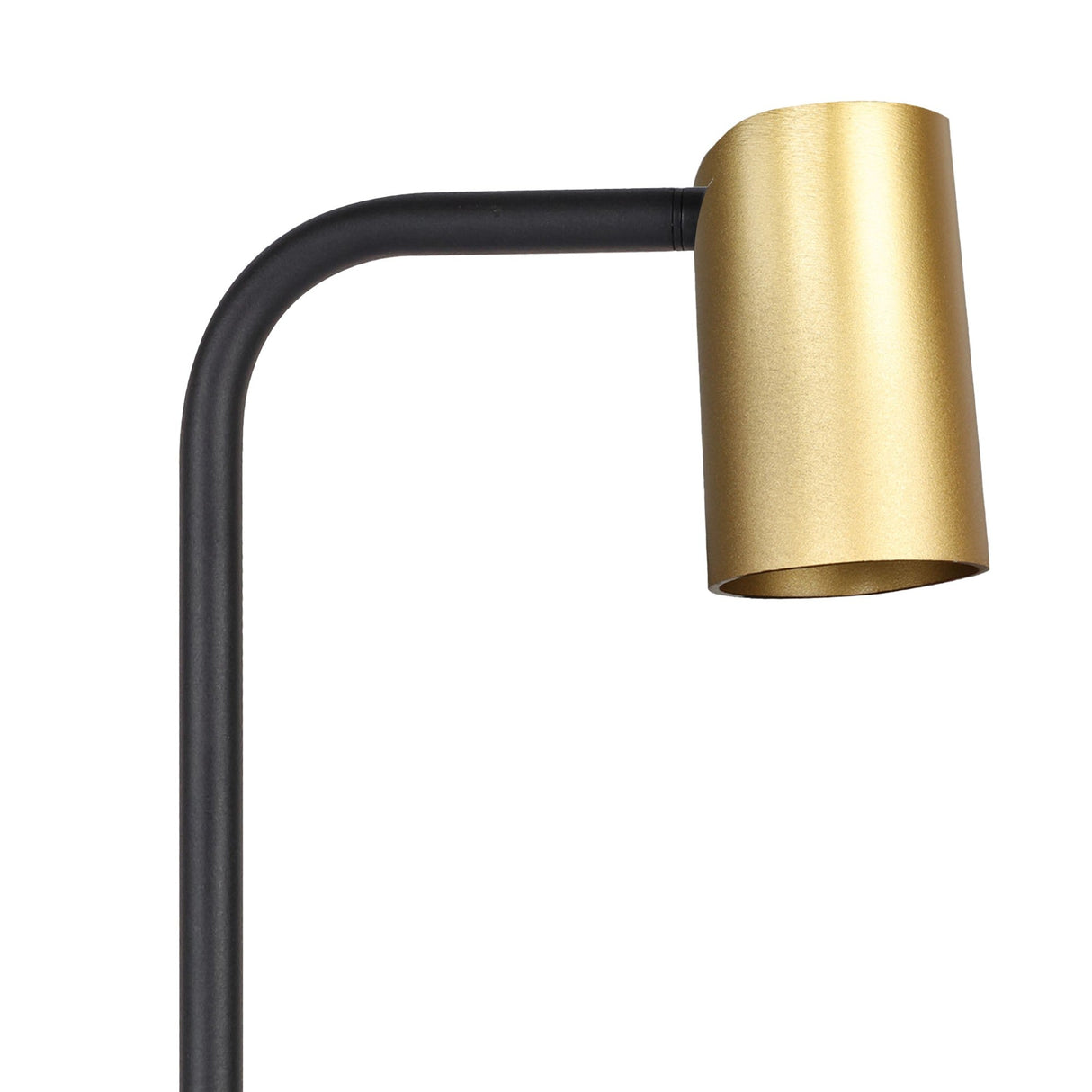 Sal Large 1 Light Table Lamp - Satin Gold/Matt Black