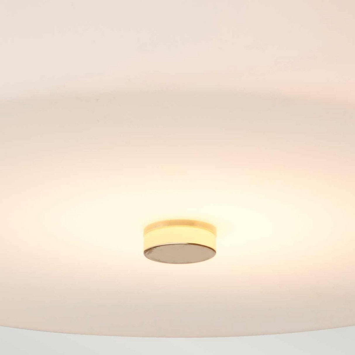 The Tamar 1 Light Medium Flush - Polished Gold ceiling fixture casts a cozy, gentle illumination. It showcases a minimalist design with a circular base and a translucent cover finished in polished gold, which distributes light evenly across the ceiling. With an IP44 rating, it seamlessly merges style with functionality.