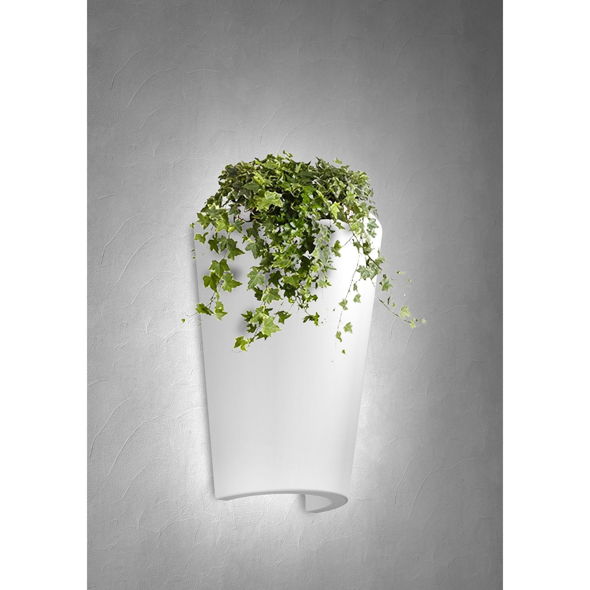 Teja 1 Light Outdoor Wall Light - White