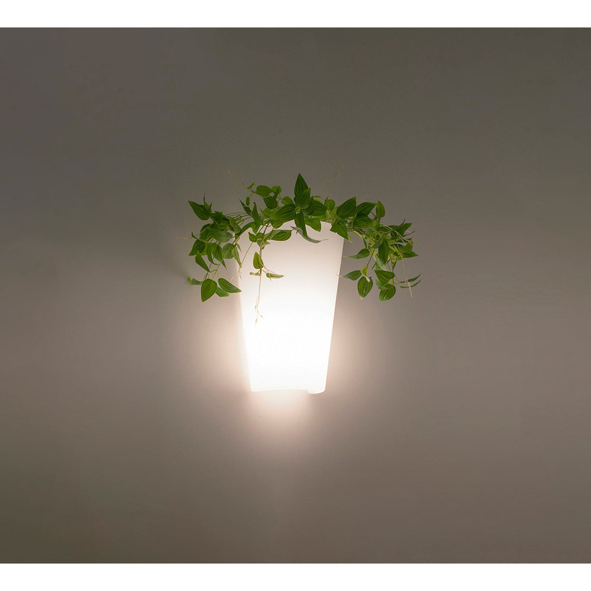 Teja 1 Light Outdoor Wall Light - White