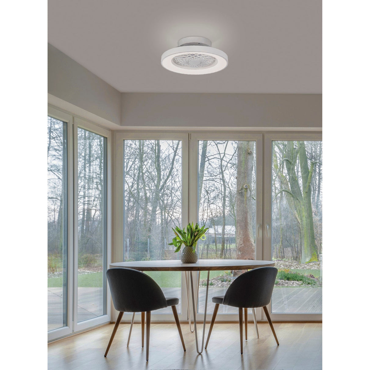 Tibet Mini CCT Dimmable LED Ceiling Retractable Fan Light With Remote - White