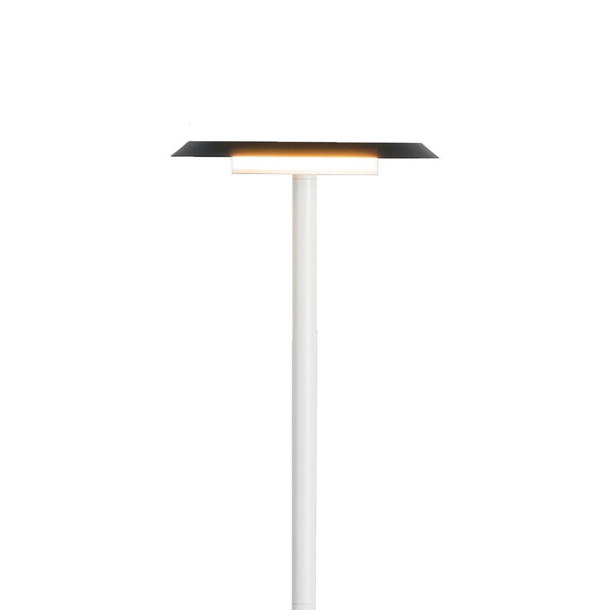 The Tina LED Floor Lamp 12W 3000K in white and black features a slim white stand and a flat, circular black shade, casting soft ambient lighting against a plain white background.
