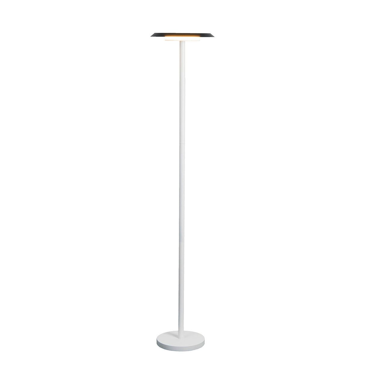 The Tina LED Floor Lamp 12W 3000K in White & Black features a slim, modern design with a flat circular shade and round base, delivering soft ambient light to any space.
