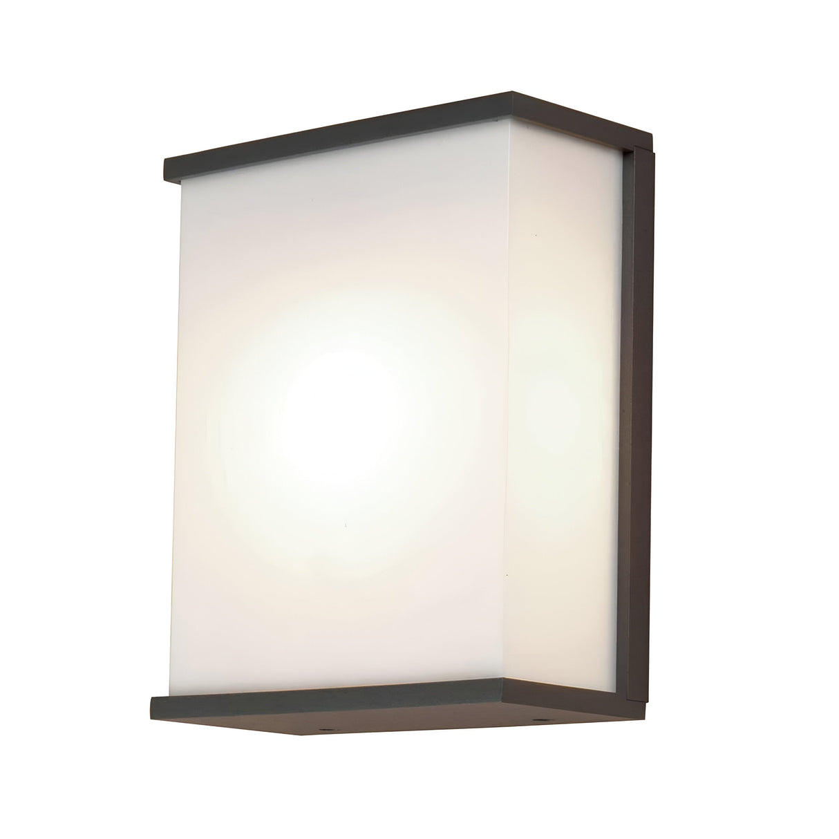The Torsten 1 Light Outdoor Large Wall Light - Graphite is a modern rectangular wall sconce that features a frosted white glass shade and sleek black metal edges with a graphite finish, providing a minimalist design that emits soft ambient light, making it perfect for outdoor use.
