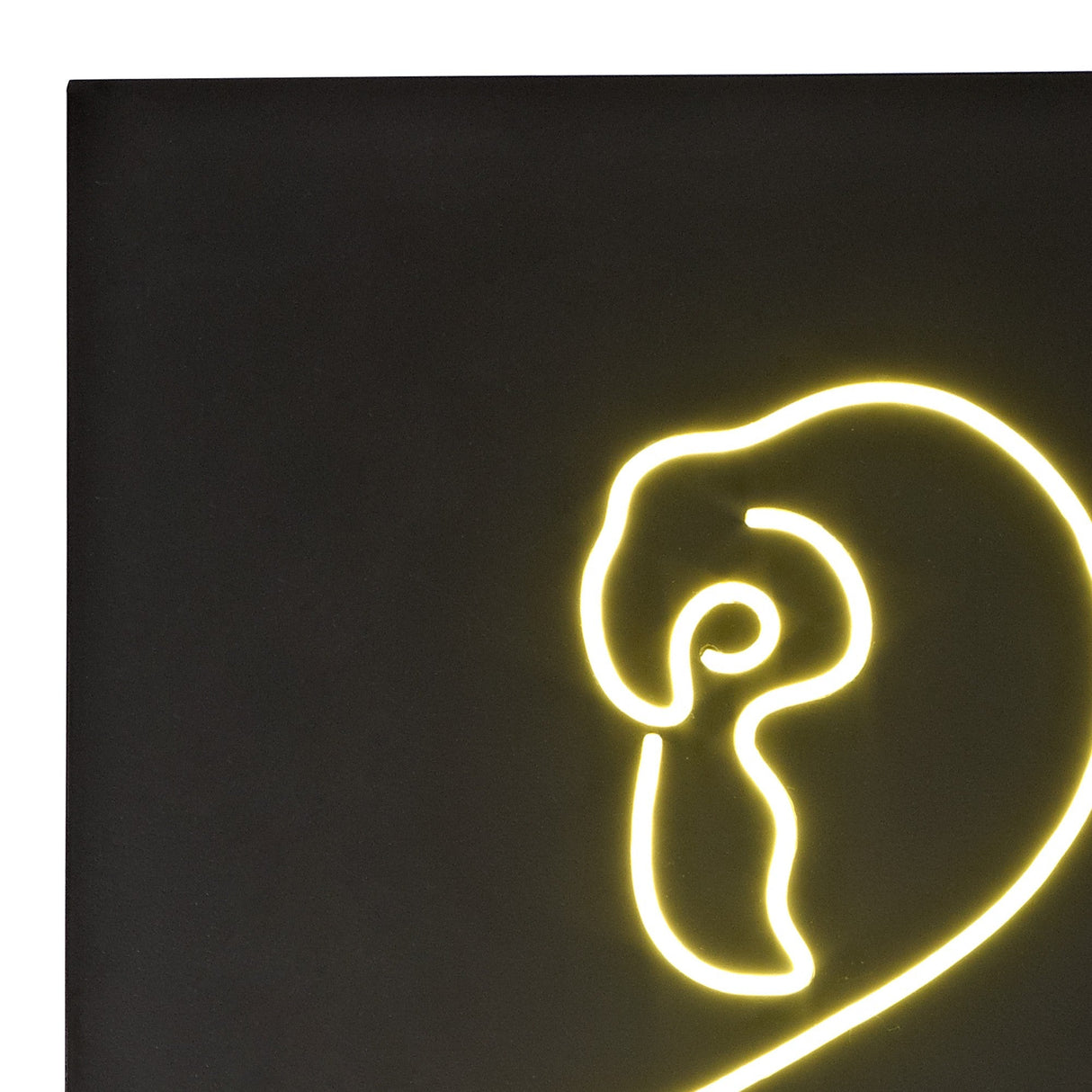 Trazos Bird Picture LED Wall Light 22W 4000K - Black