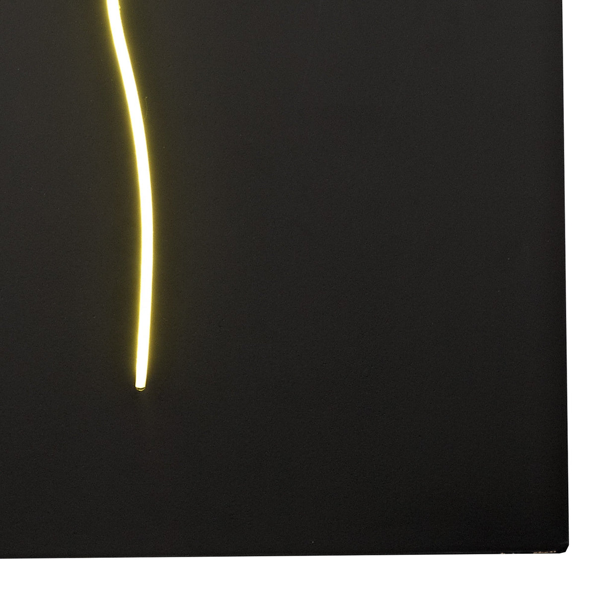 Trazos Bird Picture LED Wall Light 22W 4000K - Black