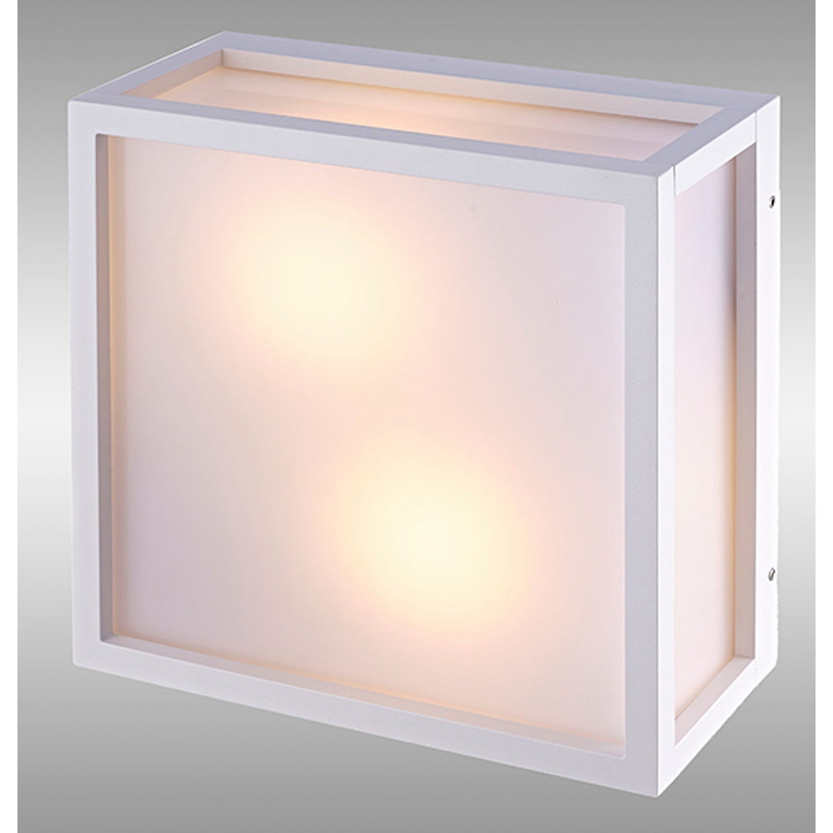 Utah 2 Light Outdoor Flush Ceiling Light - White