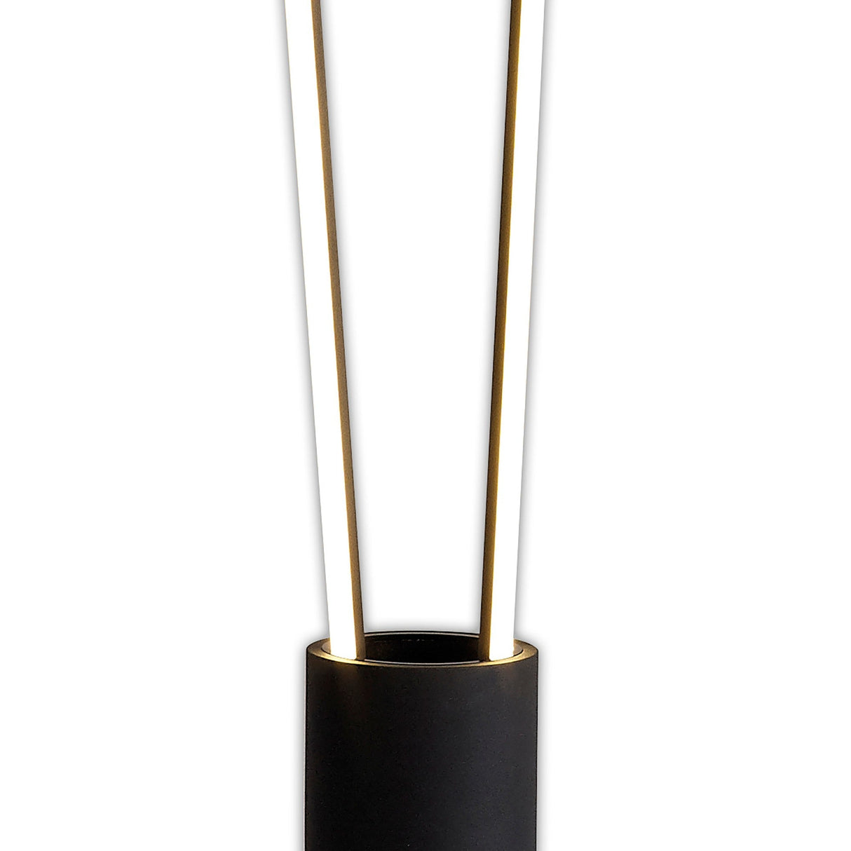 The Vertical Dimmable LED Floor Lamp 44W 3000K - Black features a modern black cylindrical base with two slender vertical gold rods that emit warm light, shown against a white background.