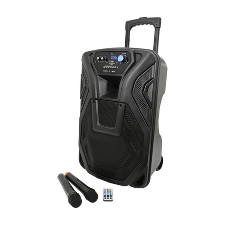 Portable PA Systems