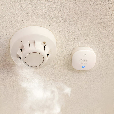 Carbon Monoxide Detectors