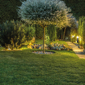 Garden Lights