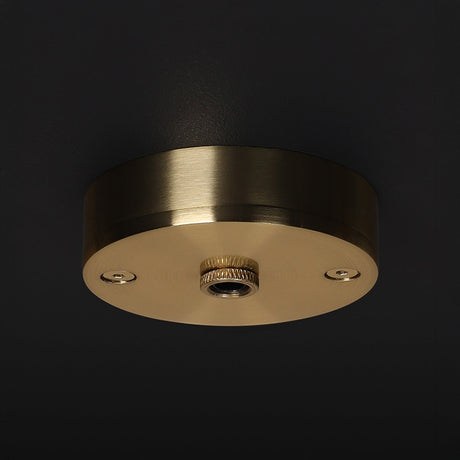 A round, gold-colored metal ceiling fixture with a decorative central screw is mounted against a dark background.