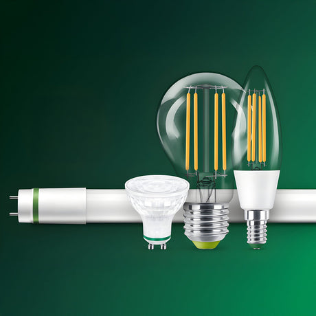 A variety of five different light bulbs, including LED and fluorescent types, are displayed against a green background.