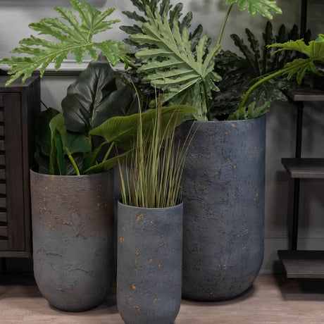 Set of three tall planters with large plants
