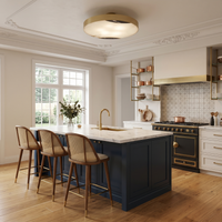 Kitchen Ceiling Lights